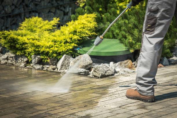 Best Animal Enclosure Cleaning  in Shrub Oak, NY