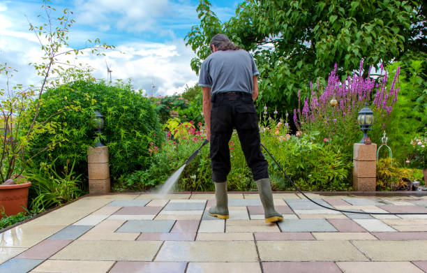 Best House Exterior Washing  in Shrub Oak, NY