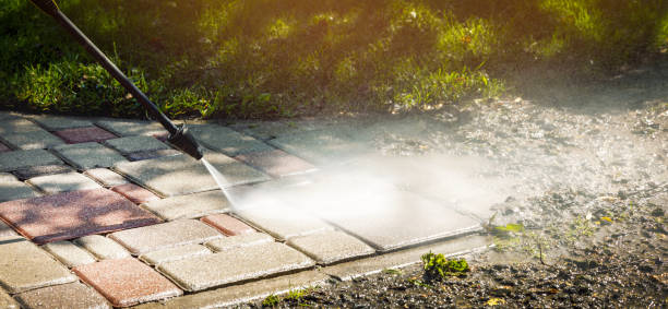 Solar Panel Cleaning in Shrub Oak, NY